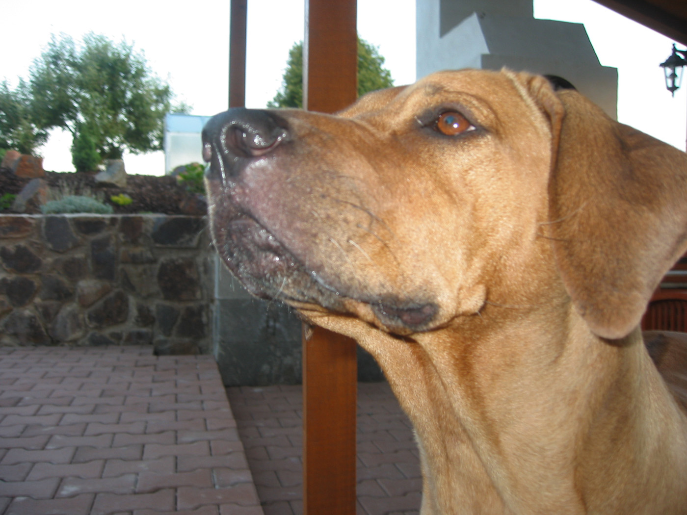 Táta 071ro.jpg