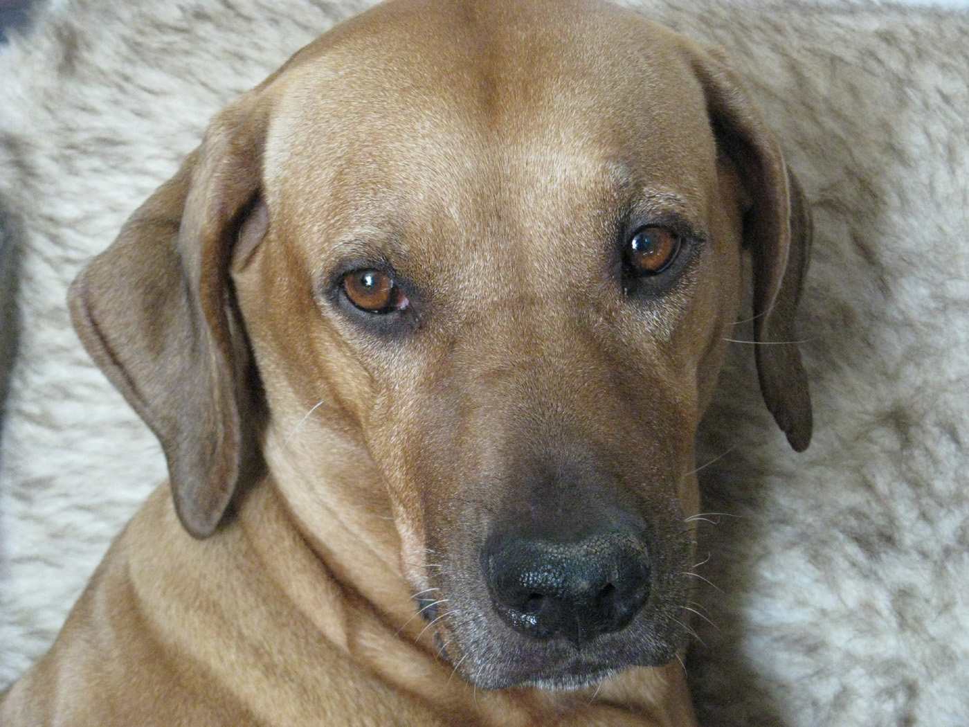 2009_12_26 01re.jpg